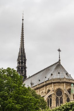 Notre Dame (Paris)