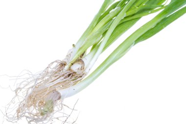 Beyaz arkaplanda yeşil soğan