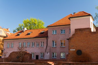 atlar, vektör