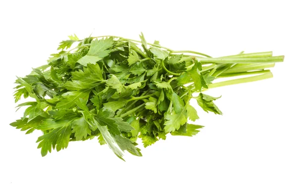 A bunch of parsley on a white background — Stock Photo, Image