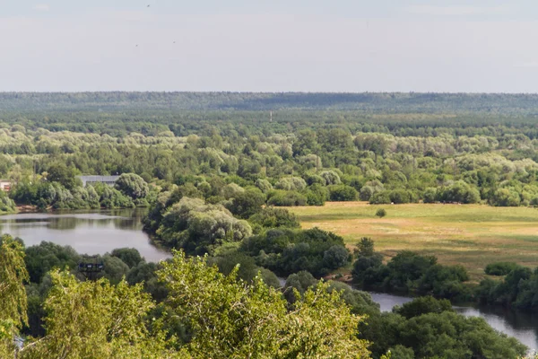 Paisagem fluvial europeia de verão (Rússia ) — Fotografia de Stock