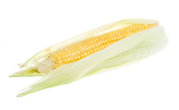 Mazorca de maíz fresco crudo aislado en el blanco — Foto de Stock