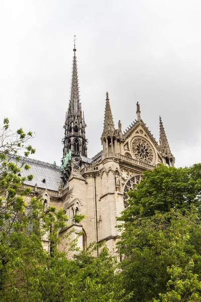 Notre Dame (Paryż) — Zdjęcie stockowe