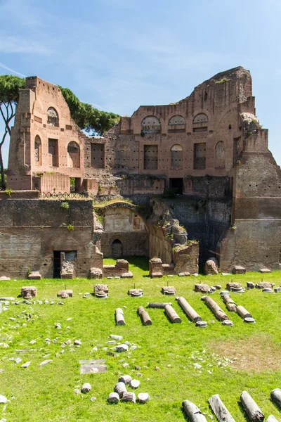 Roman ruins in Rome, Forum Stock Photo