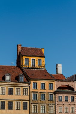 atlar, vektör