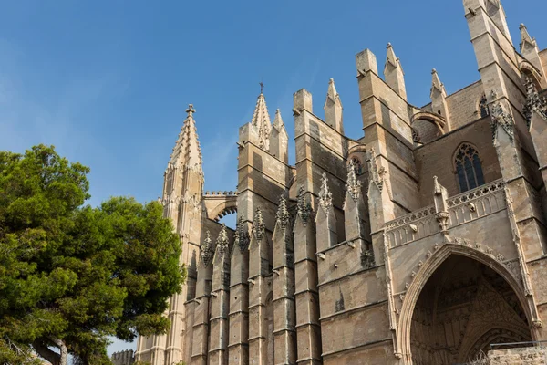 Kopule z palma de mallorca, Španělsko — Stock fotografie