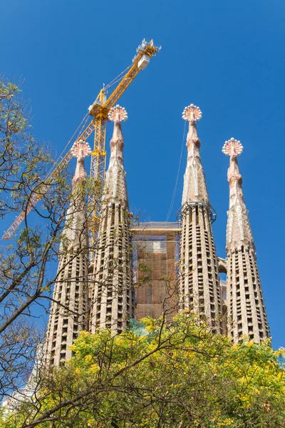 BARCELONA, ESPAÑA - 25 DE JUNIO: Sagrada Familia 25 DE JUNIO DE 2012: La — Foto de Stock