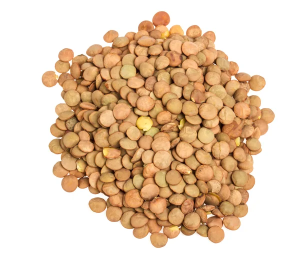 Lentils Isolated on White Background — Stock Photo, Image