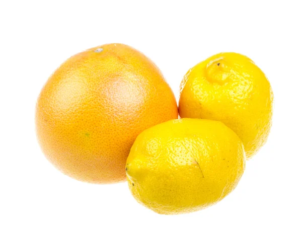 Citrusféle gyümölcsök — Stock Fotó