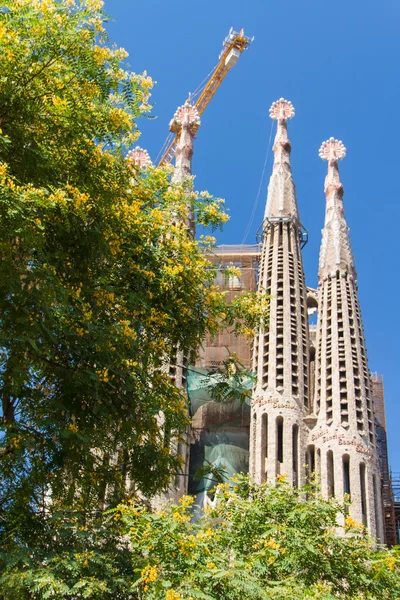 Barcelona, Španělsko-25. června: sagrada familia 25 června 2012: la — Stock fotografie