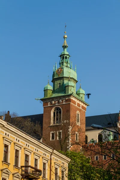 A Krarow, a Wawel királyi vár — Stock Fotó