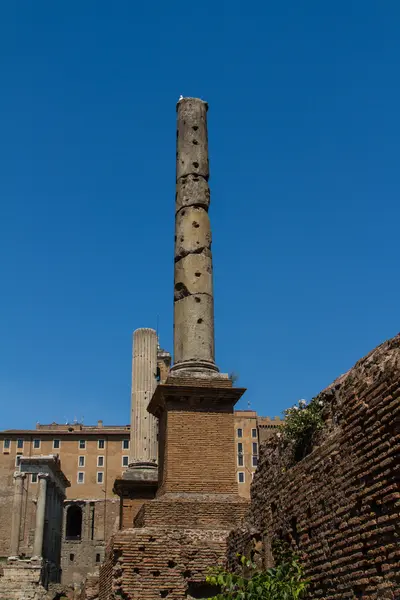 Římské ruiny v Římě, forum — Stock fotografie