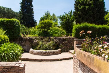 Roma harabeleri, forum