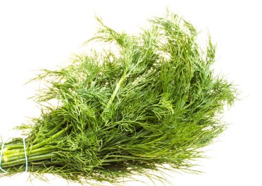 taze dallar yeşil dereotu beyaz zemin üzerine izole.