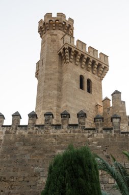 palma de Mallorca Mayorka Balear Adası'almudaina