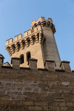 almudaina palma de Mallorca