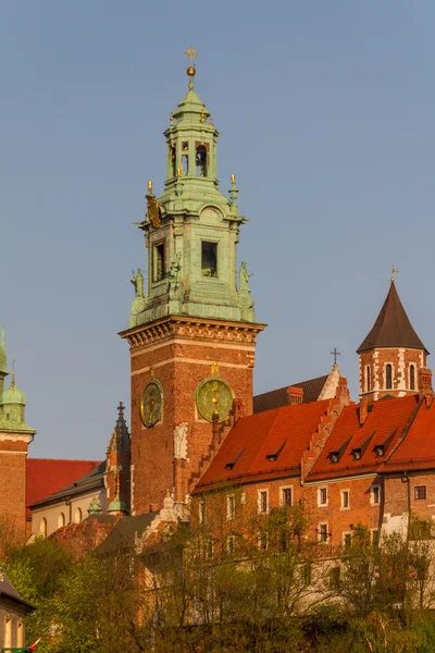 Castillo real en Wawel, Krarow — Foto de Stock