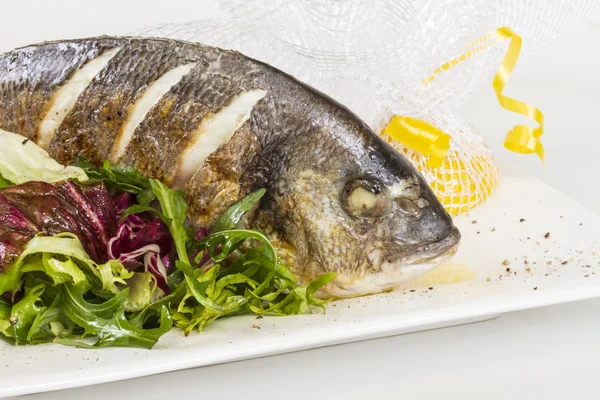 Peşte Dorada cu salată pe farfuria albă. Studio shot — Fotografie, imagine de stoc