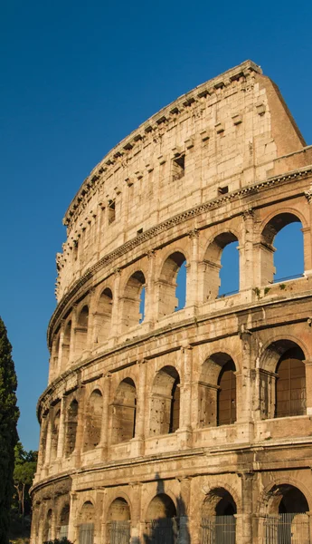 Colosseum di Roma, italy — Stok Foto