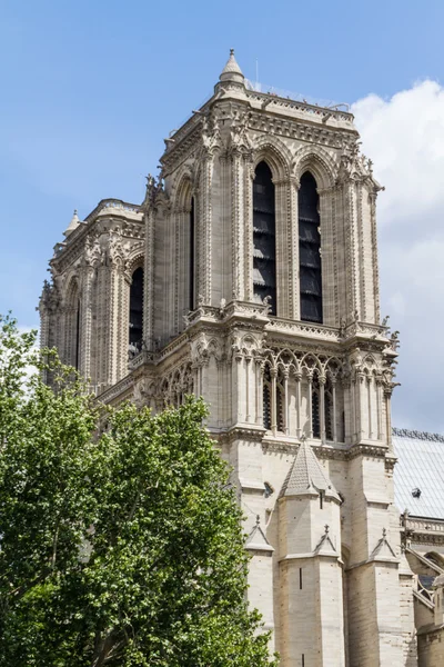 Katedrála Notre dame — Stock fotografie