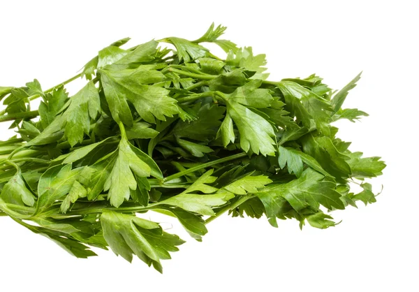 A bunch of parsley on a white background — Stock Photo, Image