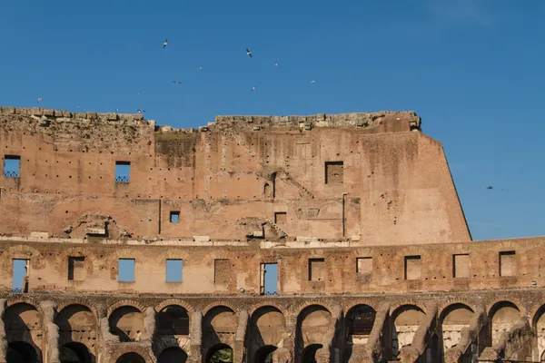 Kolosseum i krom, itali — Stockfoto