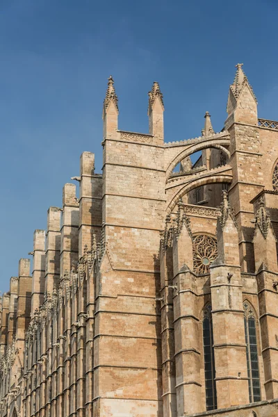 Cupola di Palma de Mallorca, Spagna — Foto Stock