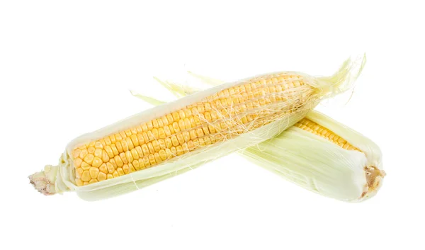 Costela de milho crua fresca isolada no branco — Fotografia de Stock