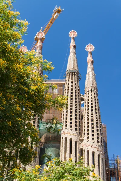 Barcelona, spanien -juni 25: sagrada familia am juni 25, 2012: la — Stockfoto