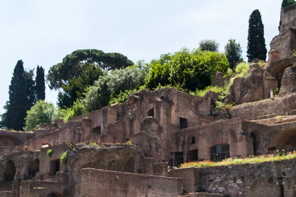 Římské ruiny v Římě, forum — Stock fotografie