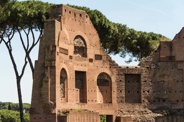 Roman ruins in Rome, Forum Stock Picture