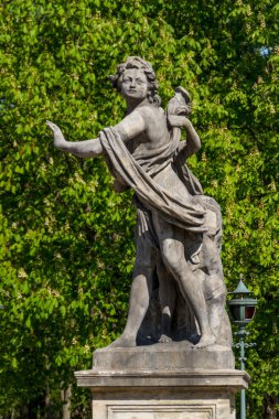 Łazienki Sarayı Łazienki Parkı, Varşova. Łazienki krolewskie.