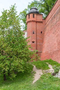 wawel, krakow, Royal castle
