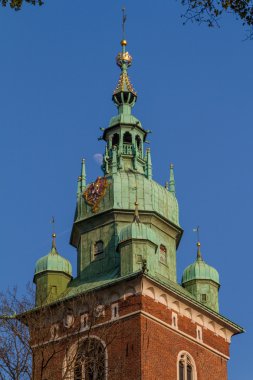 krakow tarihi bir bina. Polonya