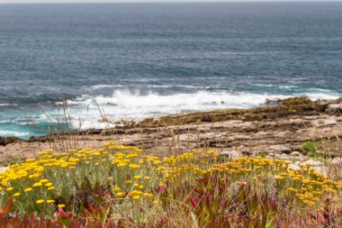 lisbon, por yakınındaki fırtınalı havalarda Atlas Okyanusu kıyısındaki Beach