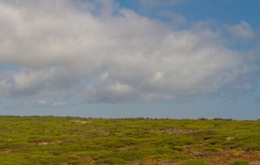 lisbon, por yakınındaki fırtınalı havalarda Atlas Okyanusu kıyısındaki Beach