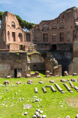 Roma harabeleri, forum