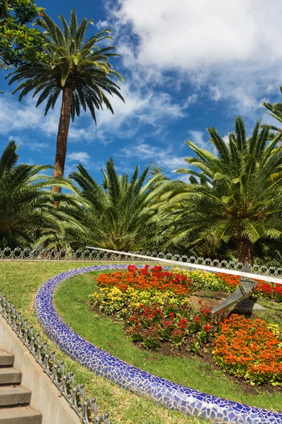 Park i santa cruz tenerife — Stockfoto