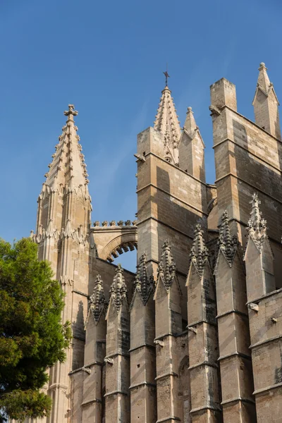 Dome of Palma de Mallorca — Stock Photo, Image