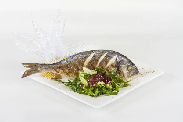 Dorada fish with salad on the white plate. Studio shot — Stock Photo, Image