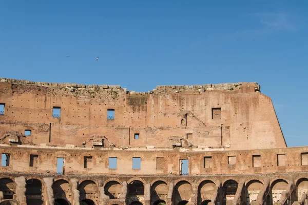 Colosseum in Rome, Italië — Stockfoto