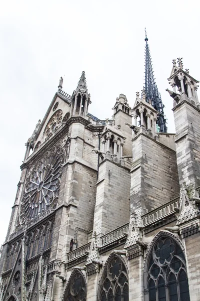 Notre Dame (Parijs) — Stockfoto