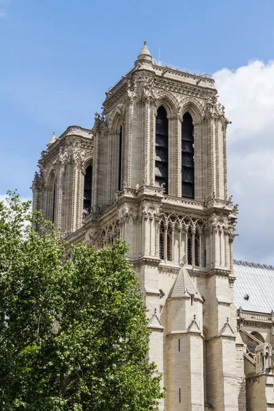 Notre-Dame-Kathedrale — Stockfoto