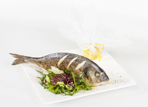 白い皿にサラダ ドラーダ魚。スタジオ撮影 — ストック写真
