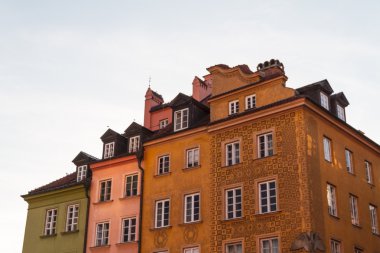 atlar, vektör