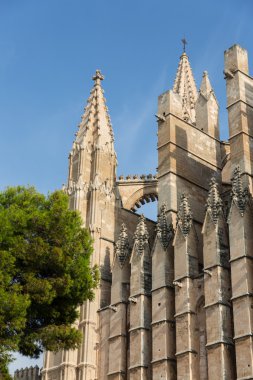 palma de Mallorca Dome