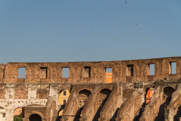 Colosseum in Rome, Italië — Stockfoto