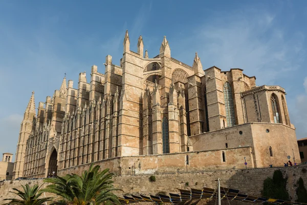 Kubbe palma de Mallorca, İspanya — Stok fotoğraf