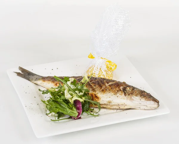 Sea-bass with vegetables — Stock Photo, Image