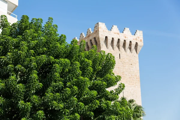 A torony a Valldemosa, Mallorca, Spanyolország — Stock Fotó